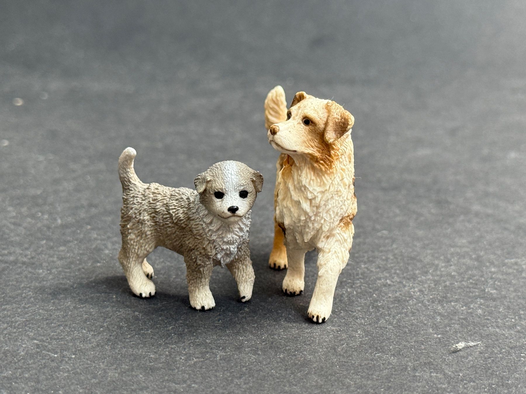 Schleich Figuren: Schleich Australian Shepherd Hund Hunde – Gebraucht aus Ennetbaden von mapa05 7