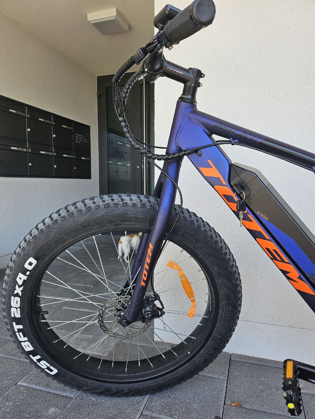 Totem Vélos: E-Bike Totem – D'occasion à Baar par Naedels-Kreationen 1