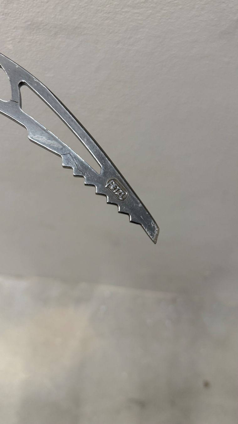 Petzl Ride Ice Axe (Piolet) (Neu (gemäss Beschreibung)) in Zürich für ...