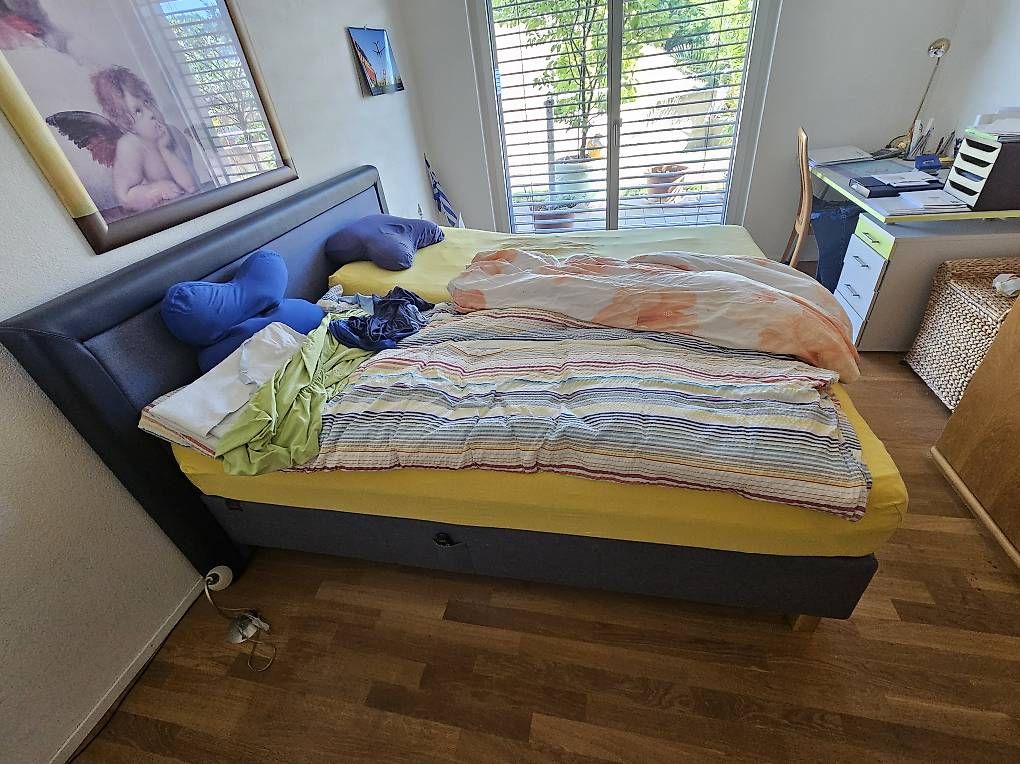 Pfister Betten: Boxspringbett – Gebraucht aus Schlatt TG von Marcelsch77