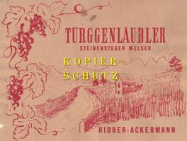 Etikette (gross) - Türggenläubler (Steinensteger Melser) /bd