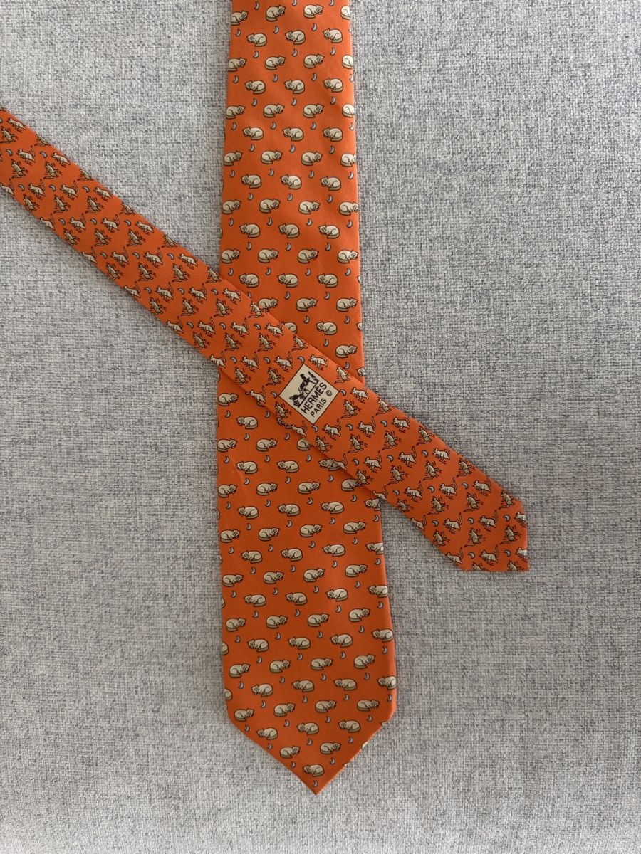 Hermès Krawatten: Hermes Krawatte orange – Neu (gemäss Beschreibung) aus Frauenfeld von Brendaru