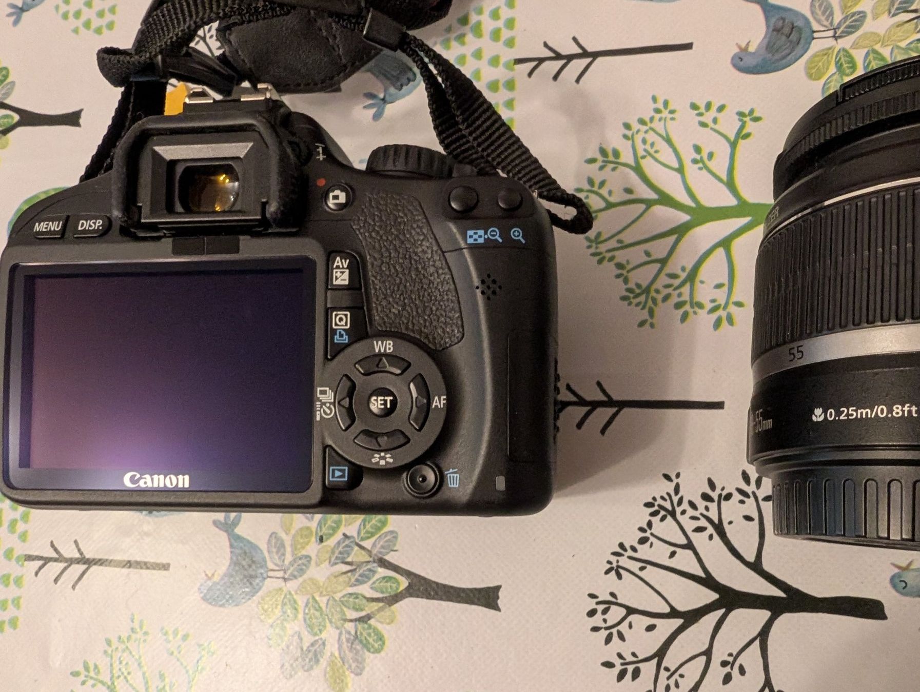 Canon Appareil photo: Canon EOS 550D + EF-S 18-55 IS – D'occasion à Riehen par fab_972b 3