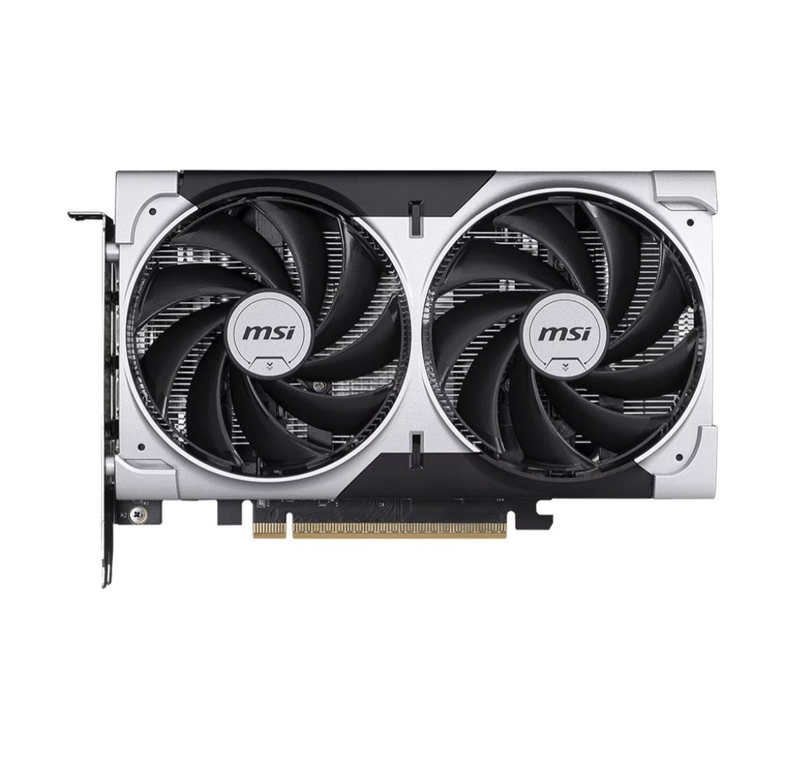 MSI Schede grafiche: MSI GeForce RTX 5050 VENTUS 2X OC – Nuovo e nell'imballaggio originale da Ottoberg venduto da nic_5sdw 1