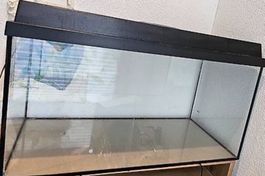 Aquarium mit schwarzem Deckel gebrauchter Zustand