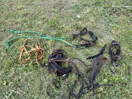 Harnais attelage complet + bride œillères poney shetland 
