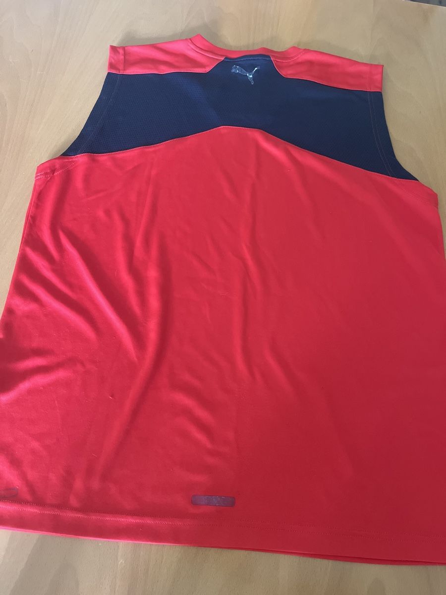 Puma T-shirt: Puma Shirt – Usato da Effretikon venduto da erbaeff 2