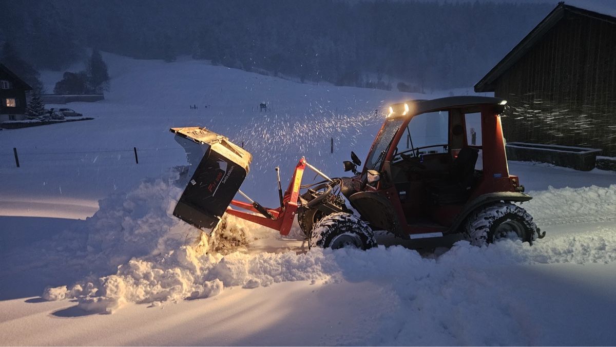 Alle Maschinen: Kippschaufel/Hochkippschaufel/Kippmulde – Neu (gemäss Beschreibung) aus Altbüron von bifidus04 5