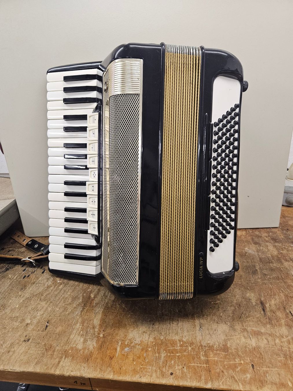 Strumenti musicali: Klavier-Handharmonika Hohner LUCIA IVP – Usato da Müntschemier venduto da grossh