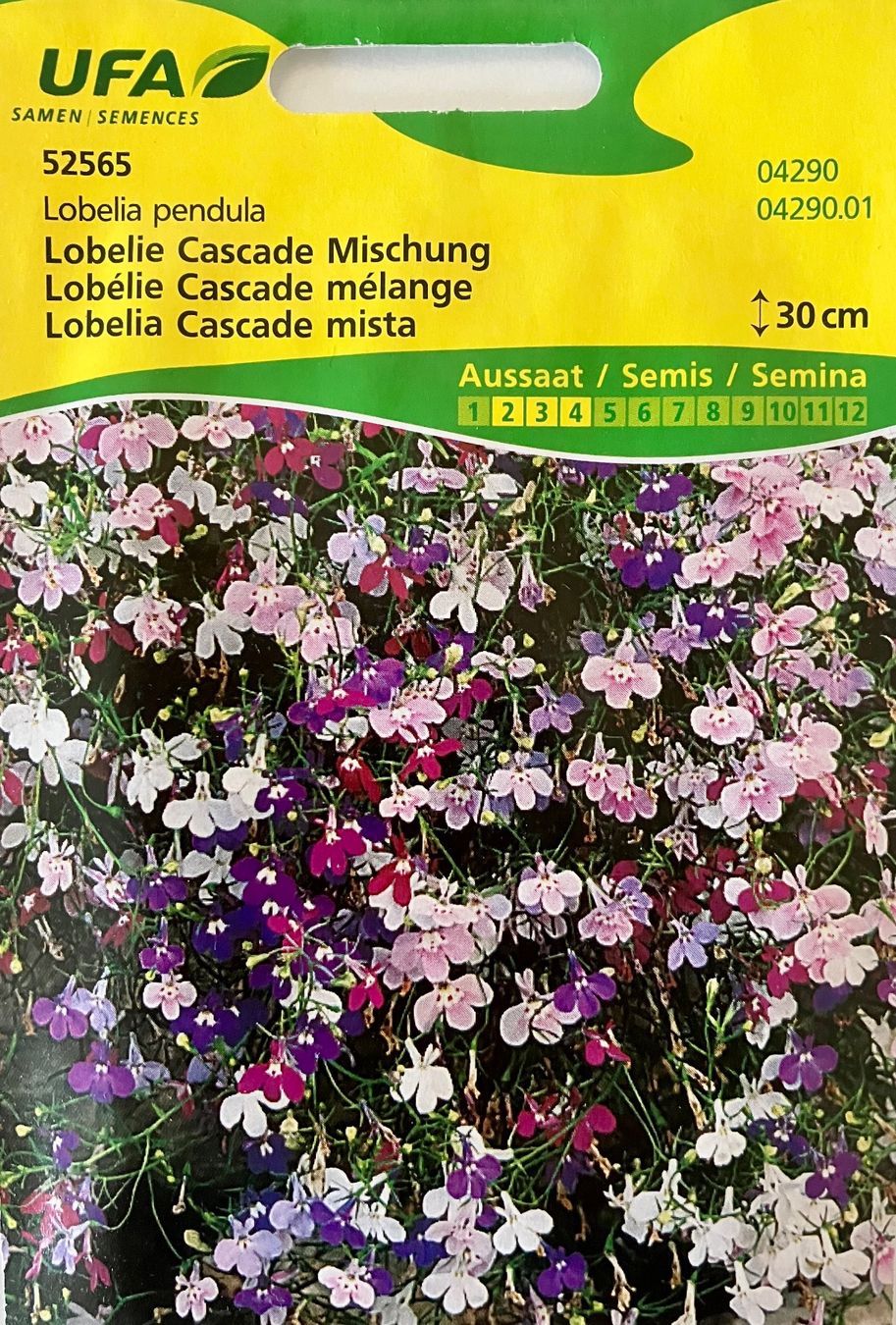 Piante & sementi: Diverse Blumen- und Gemüsesamen – Nuovo e nell'imballaggio originale da Schaffhausen venduto da NinaRicardo 6