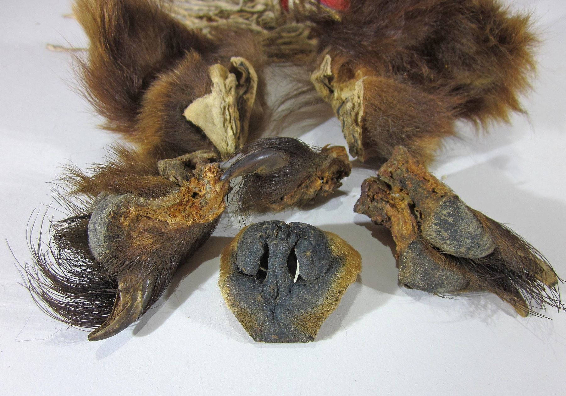 Statuette: Blackfeet Indianer Bär-Medizin – Usato da Bäretswil venduto da robsonantik 4