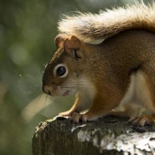 Profile image of Mrvonwyl