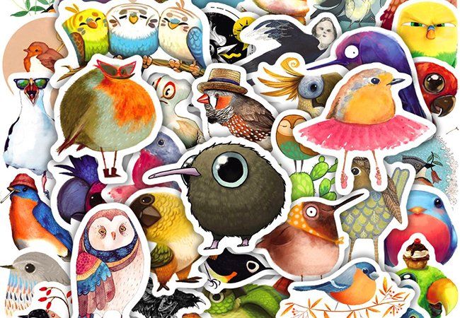 50 Stk. Sticker/Aufkleber - Kawaii Bunte Vögel (Neu und ...