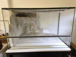 Glas Terrarium 80*40*50