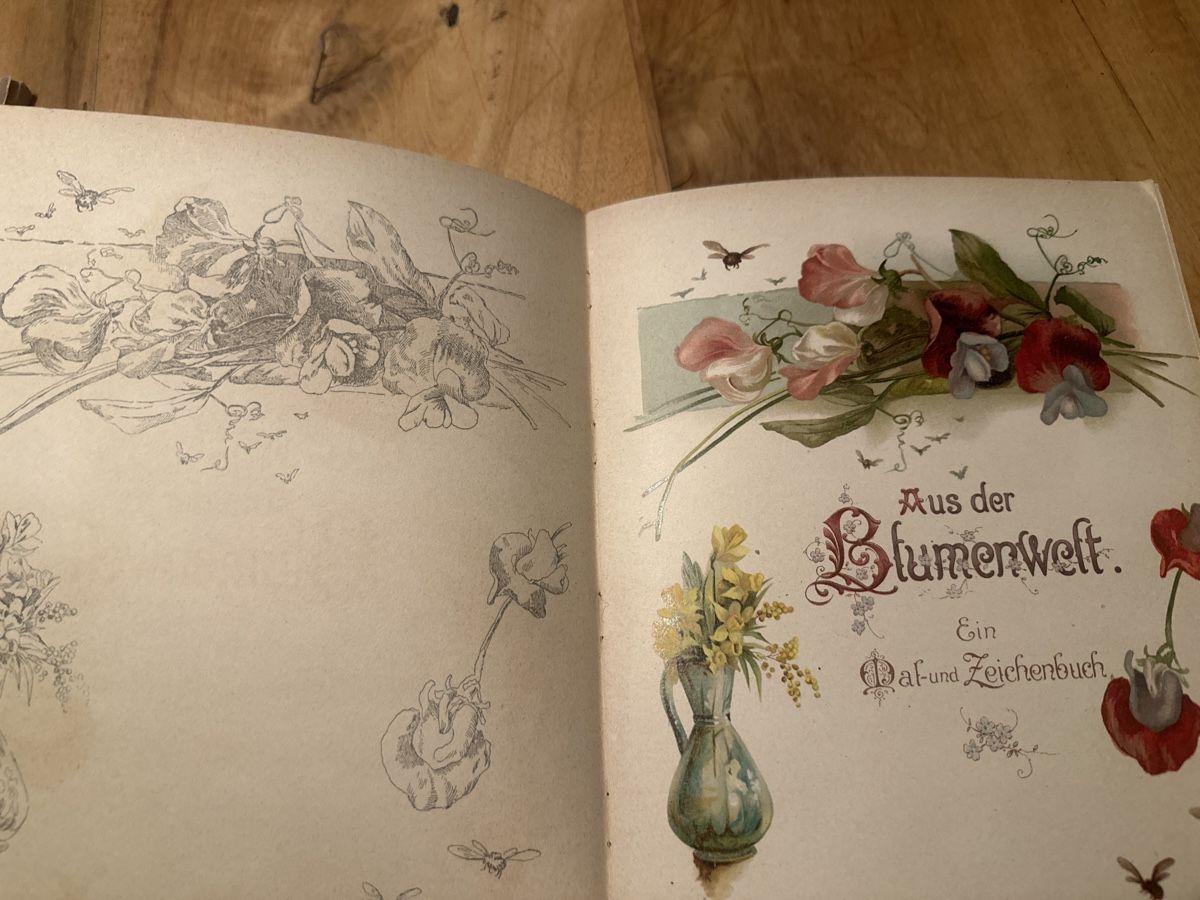 Bücher: Antikes Mal- und Zeichenbuch "Aus der Blumenwelt" – Gebraucht aus Frauenfeld von aluma14 3