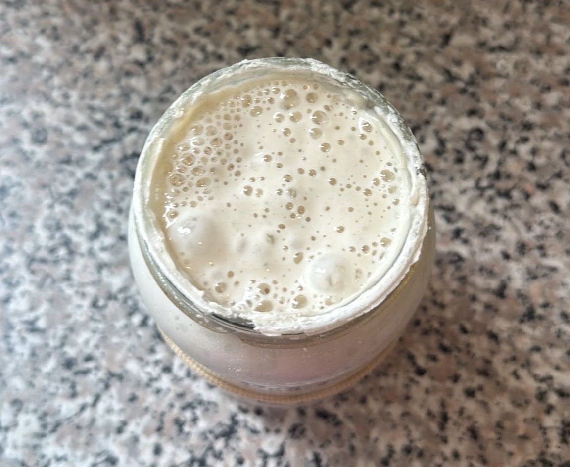 Lebensmittel & Spezialitäten: Sauerteig Weizen 550 – Gebraucht aus Basel von ste_6rsb