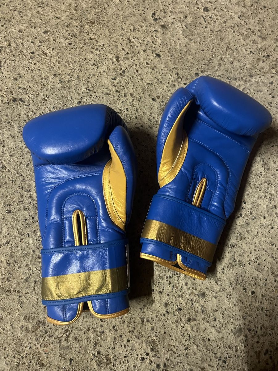 Guanti & manicotti: Boxhandschuhe neu, unbenutzt – Nuovo (secondo la descrizione) da Zürich venduto da ida_gf9t