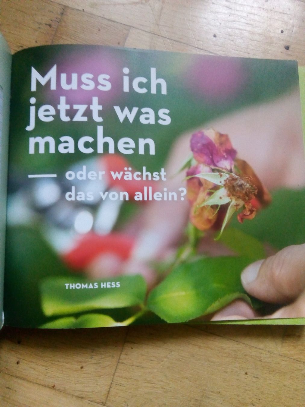 Libri: Wächst das von allein? - oder muss ich jetzt was machen? – Usato da St. Gallen venduto da elk2021 1