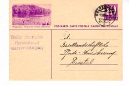 Bildpostkarte, Ringgenberg - Goldswil