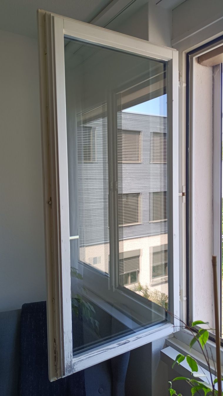 Finestre: 9 Fensterflügel – Usato da Dättwil AG venduto da PorscheFans