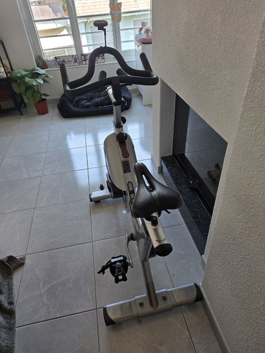 Hometrainer: Tomahawk S Series Spin Bike indoor cycle – Usato da Thalwil venduto da Derekdez 1