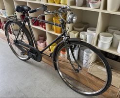 Cosmos Biel Vintage Retro Velo 1940s