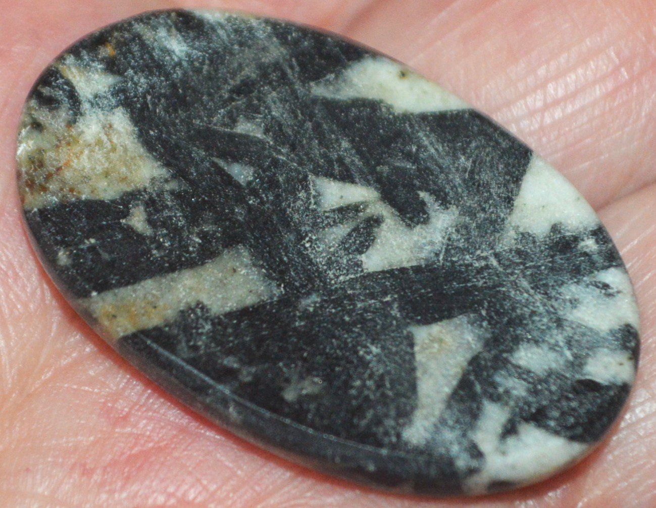 Mineralien & Heilsteine: Cabochon L-855 – Hornblende Stein – Neu und originalverpackt aus Goldiwil (Thun) von han_v5b7 8