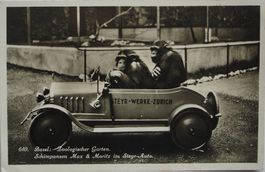 BASEL Zoologischer Garten - Schimpansen Max & Moritz im Auto
