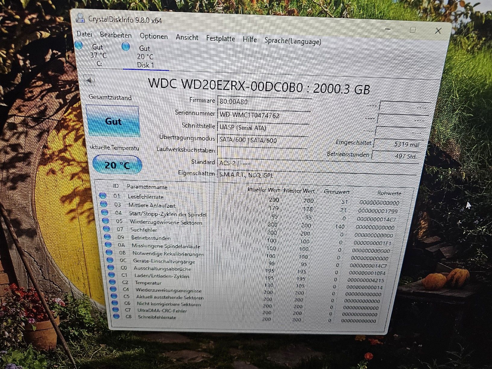 Disques durs: 2 Festplatten  – D'occasion à Burgdorf par weggu.666 1