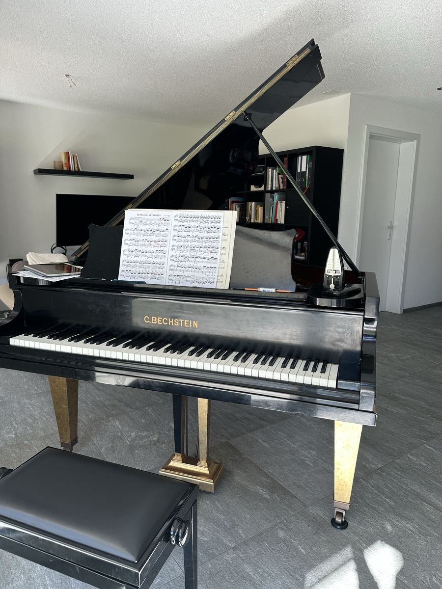 Strumenti musicali: C Bechstein Flügel 1,60m  – Usato da Kandergrund venduto da eva_92rg 2