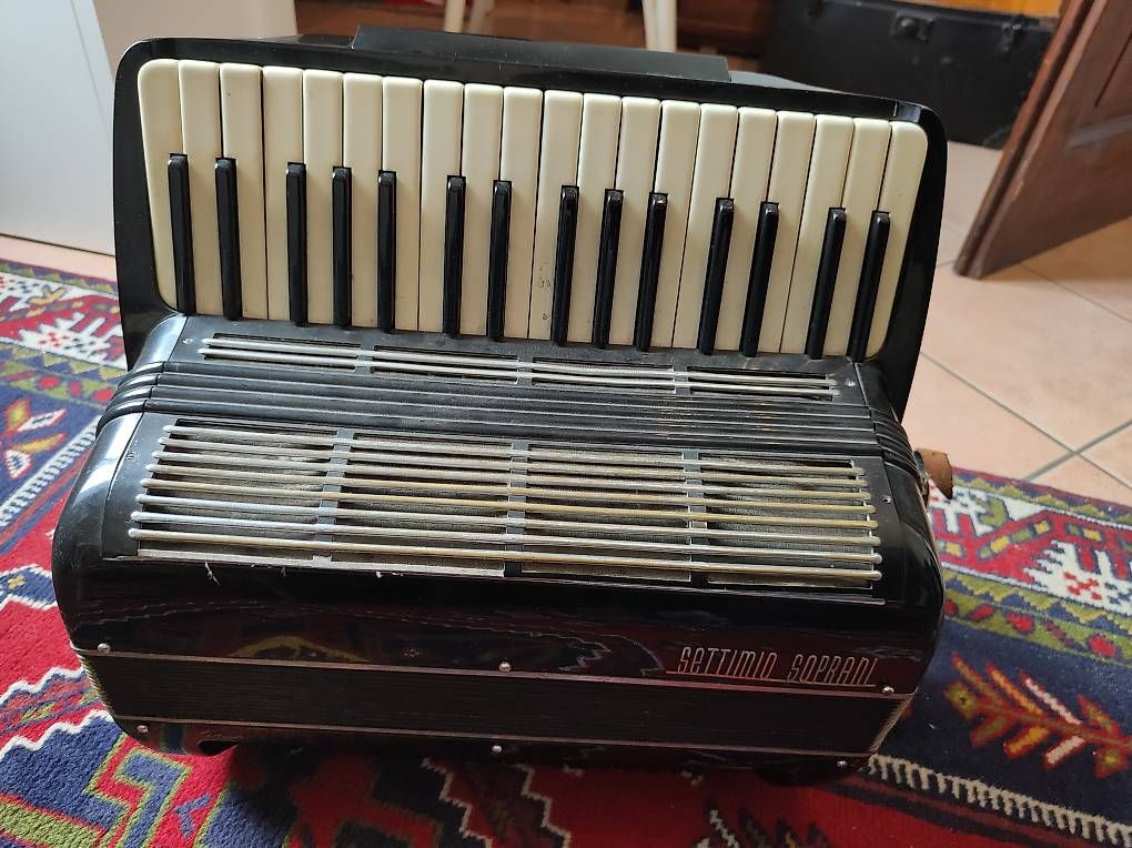 Strumenti musicali: Fisarmonica Settimio Soprani – Usato da Massagno venduto da Massimo037 4