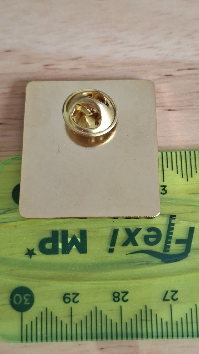 Plaquettes & Badges: Pin HeissluftballonD-OMAY  – D'occasion à Kriens par Wolly85 1