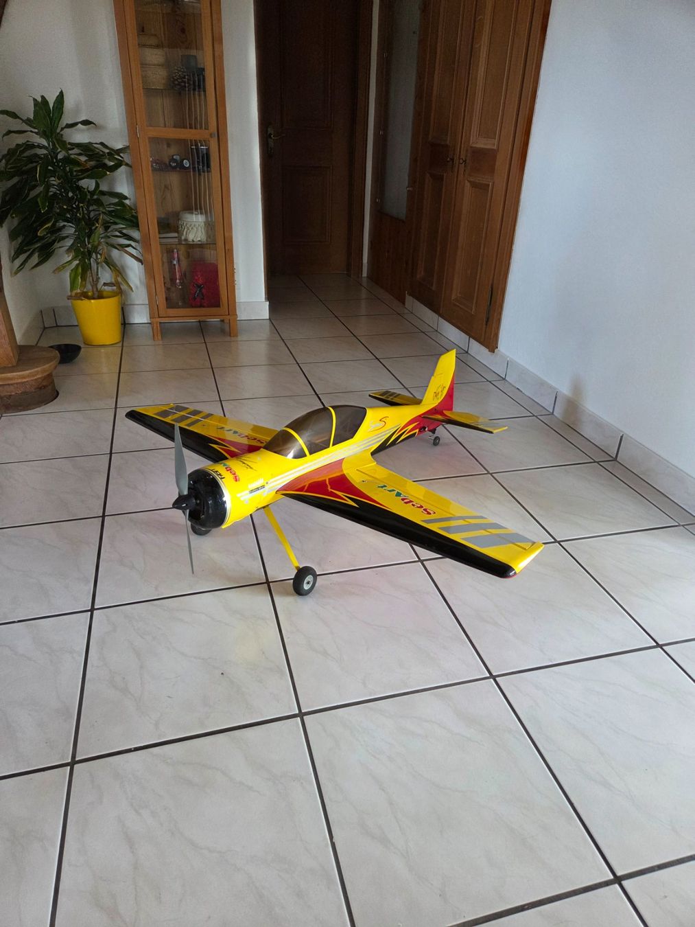 RC Kits de montage: Sebart Sukhoi 30e – D'occasion à Besenbüren par oli_6ts9 1