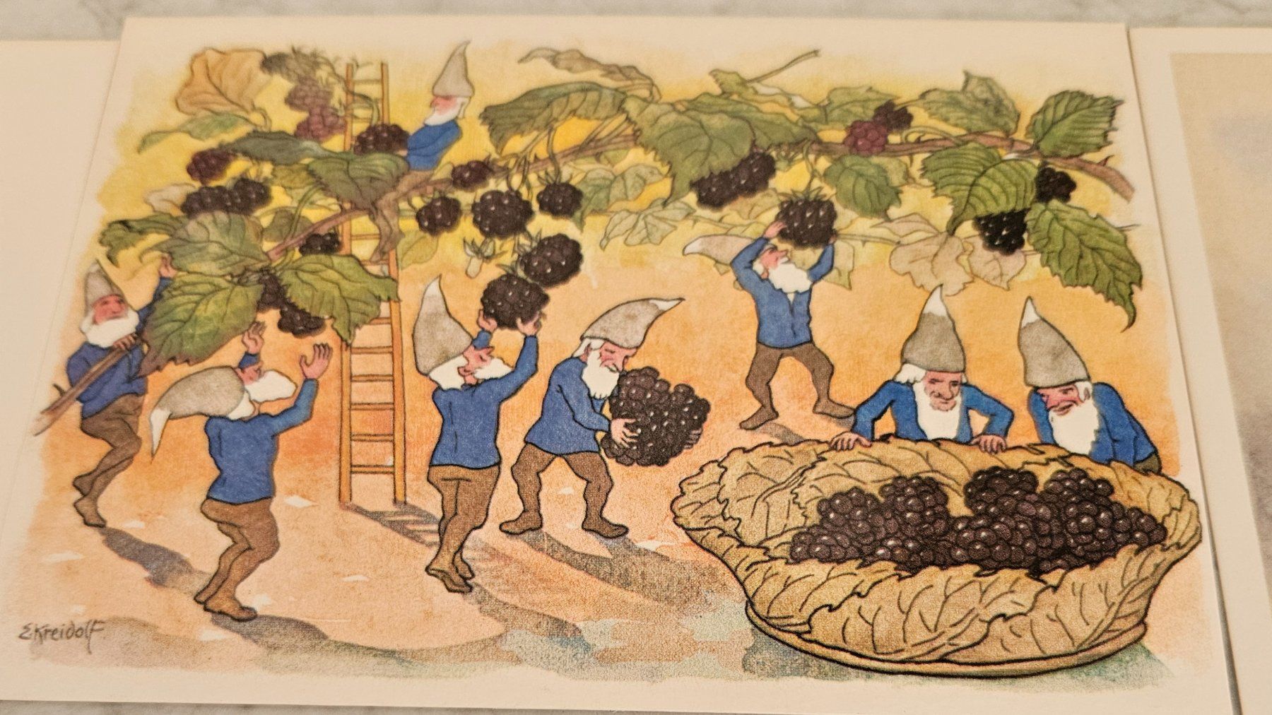 Cartoline postali: 9 Kreidolf-Karten – Usato da Uster venduto da Sonnenblume212 1