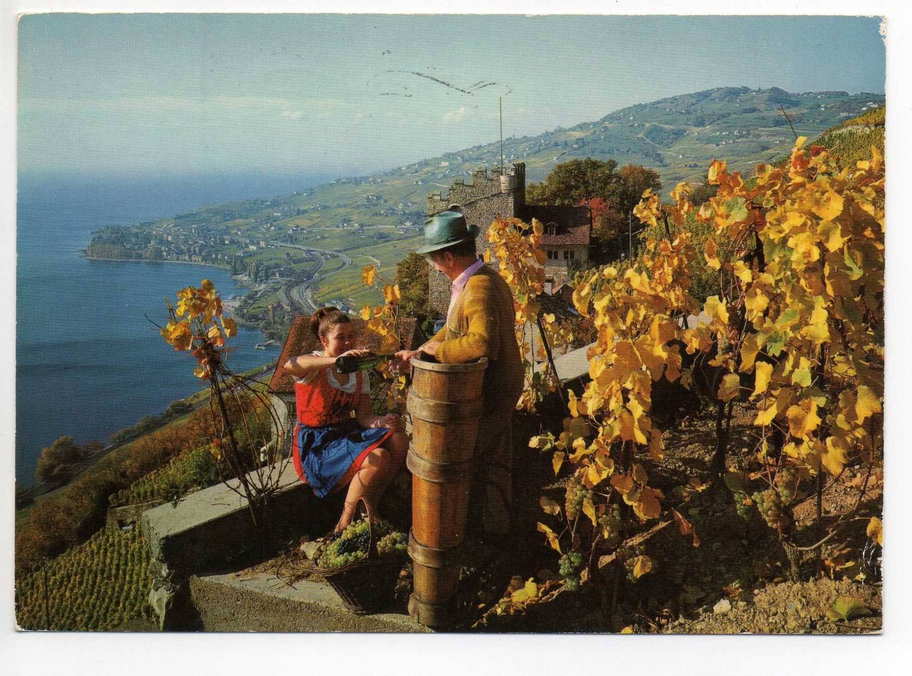 Cartoline postali: LAVAUX Vendages Weinlese – Usato da Jona venduto da philajona