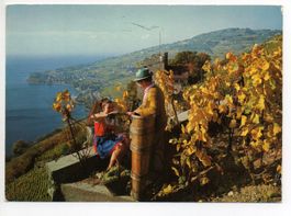 LAVAUX Vendages Weinlese