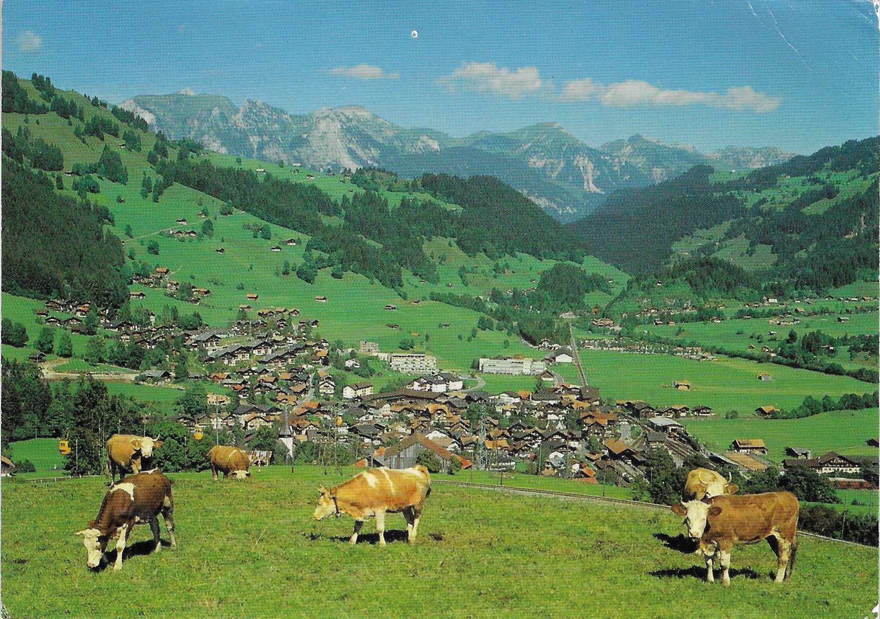 Cartoline postali: Zweisimmen BE – Usato da Rothrist venduto da Stranglehold