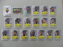 Panini Fussball WM Brasil 2014  Ecuador 19 Stück Komplett !