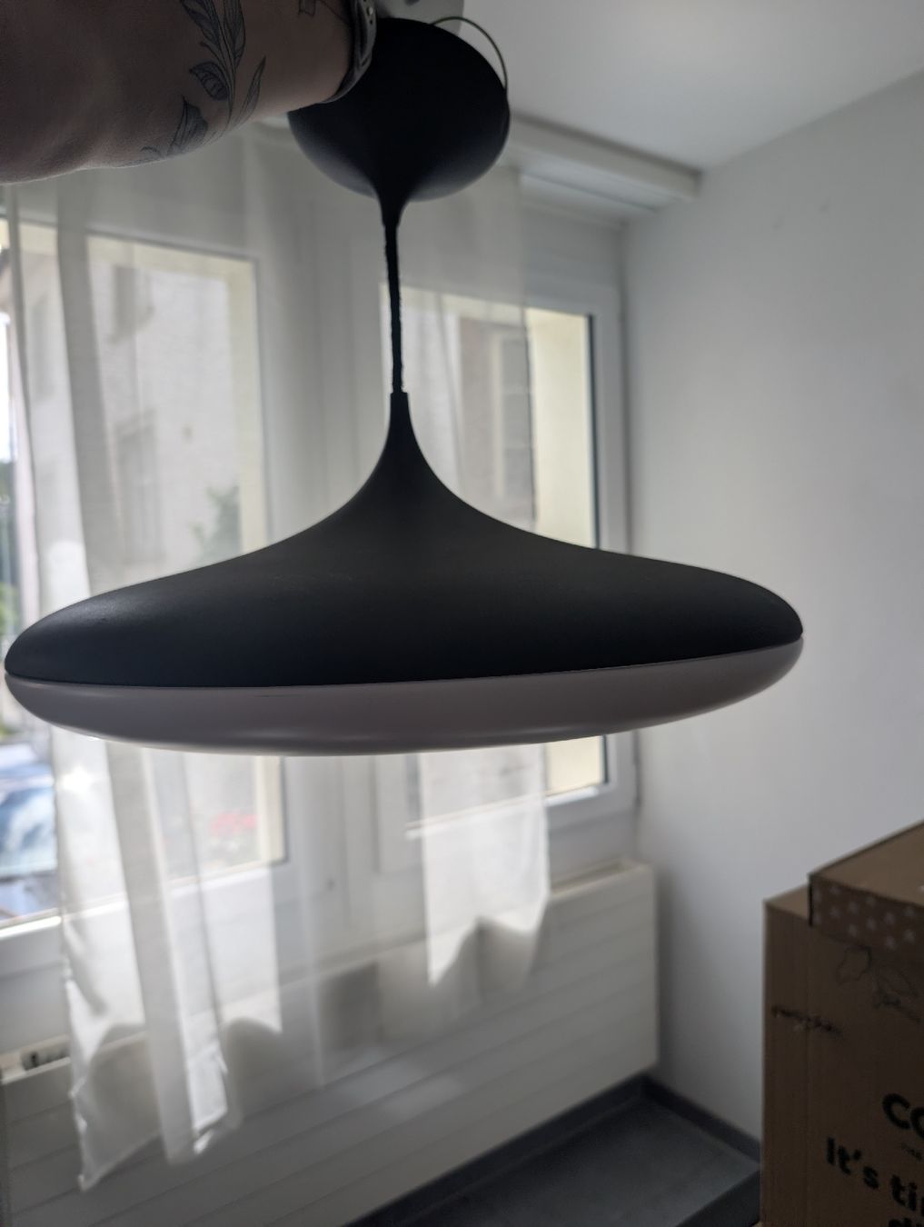 Philips Lustres & lampes de plafonds: Philips Hue Pendelleuchte – D'occasion à Schaffhausen par Luchetto_97