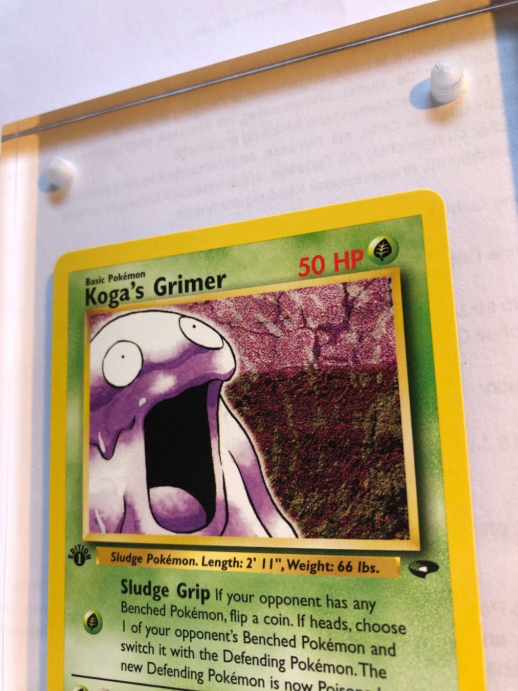 Carte collezionabili: Koga's Grimer 1st Gym Challenge - MINT - ab 1.- – Usato da Giubiasco venduto da dan_pr8b 3