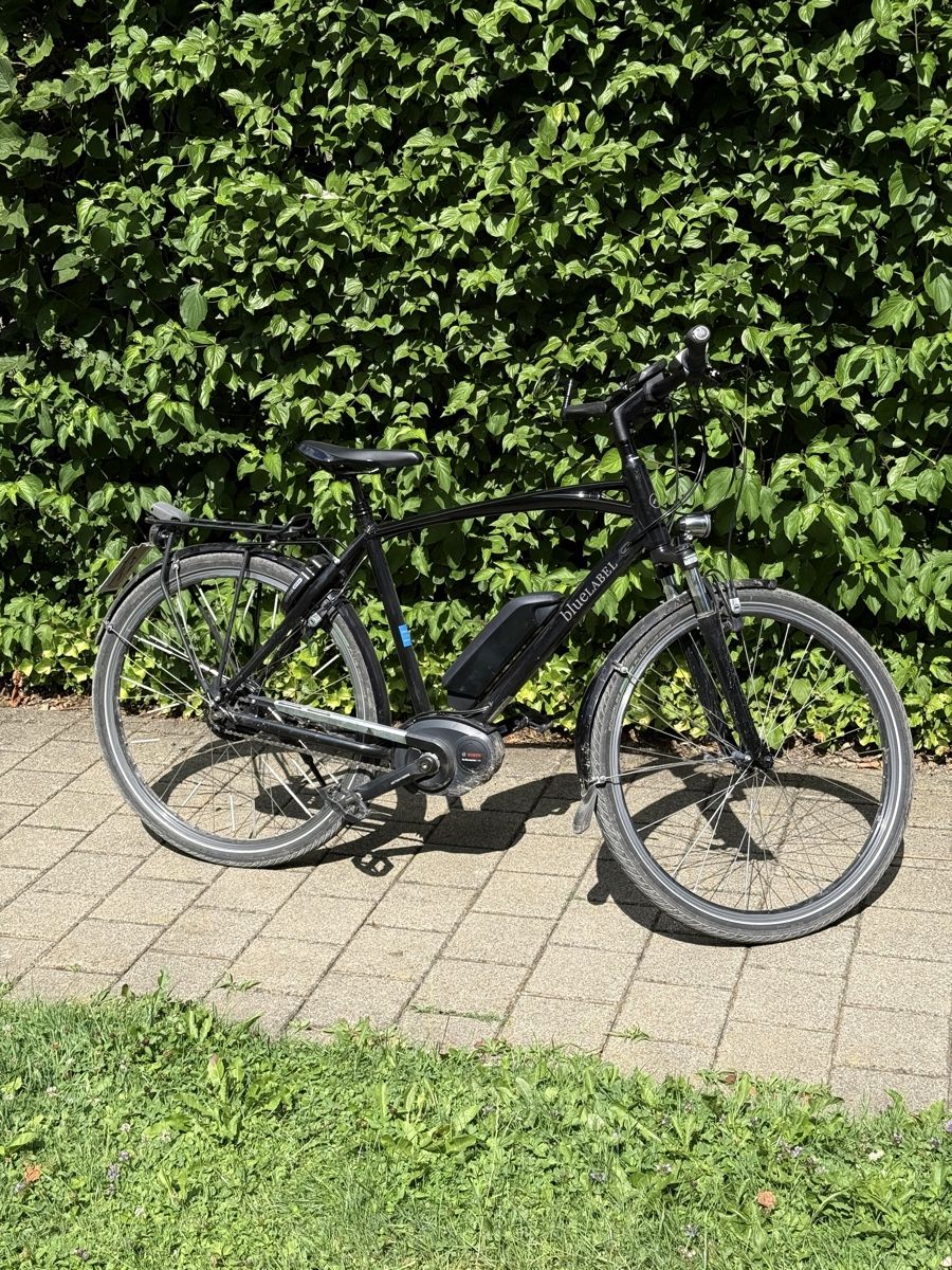 Riese & Müller Biciclette: Riese & Müller e-Bike Blue Label, Modell 2014 2x Akku – Usato da Urdorf venduto da noelfaris
