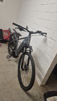 E-Bike Whistle grau gute Fahrtüchtigkeit.