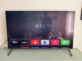 Panasonic Fernseher 48.5 Zoll