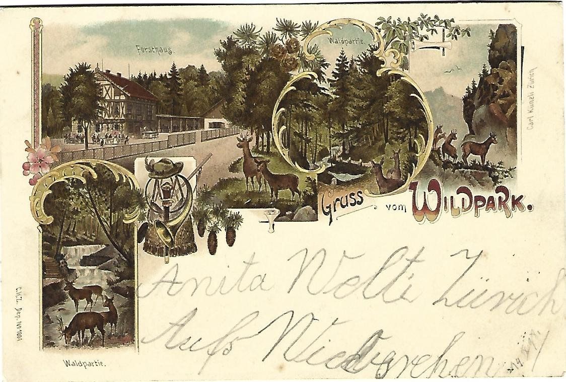 Cartes postales: Gruss vom Wildpark Litho – D'occasion à Wetzikon ZH par Brulu100