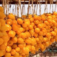 50 Samen Piennolo Vesuvio  Tomate