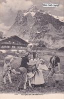 Grindelwald  BE  Bauersleute / Kuh  /  Wetterhorn   ca 1912