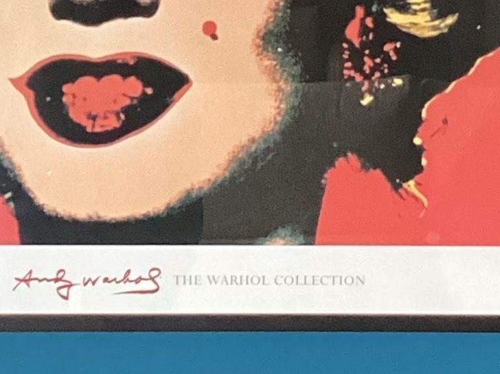 Foto & Immagini: Tableau Andy Warhol – Usato da Agiez venduto da Beve15 2