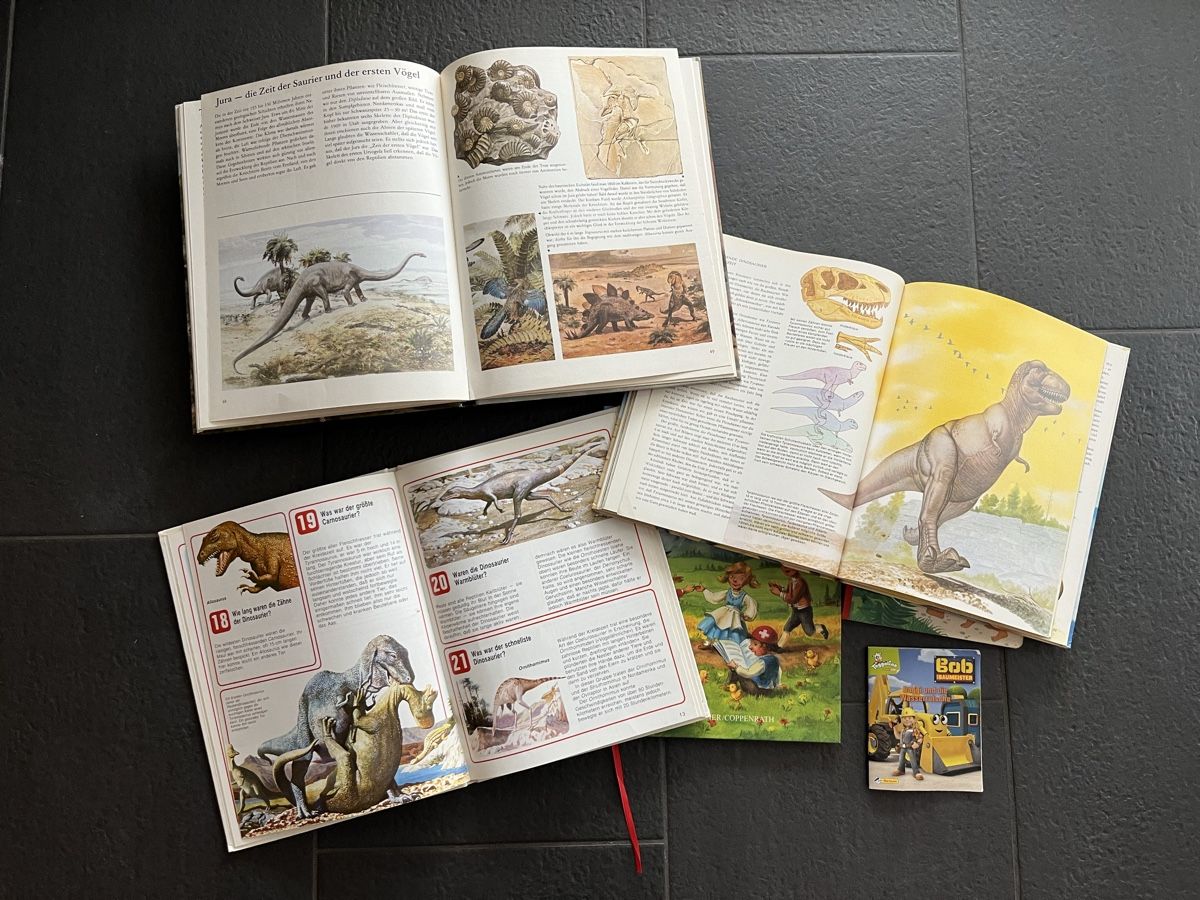 Libri: 7 Kinderbücher – Usato da Rottenschwil venduto da gle81 2
