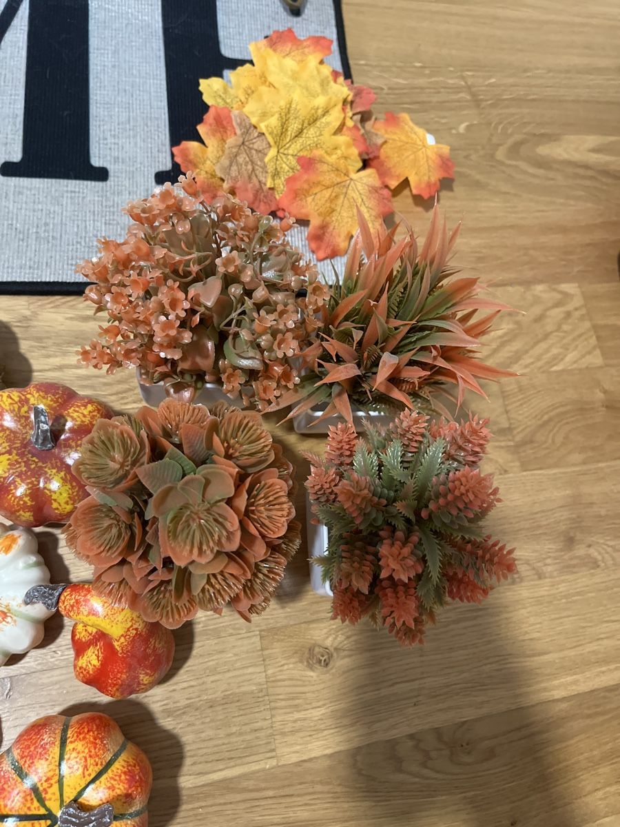 Toutes les décorations: Décorations automnales – D'occasion à Le Locle par Mayd_h 2