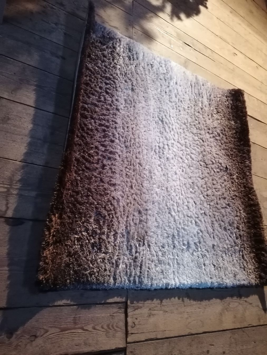 Tappeti: Hochflorteppich Whisper Beige/Hellbraun – Usato da Seon venduto da Aquaristik 1